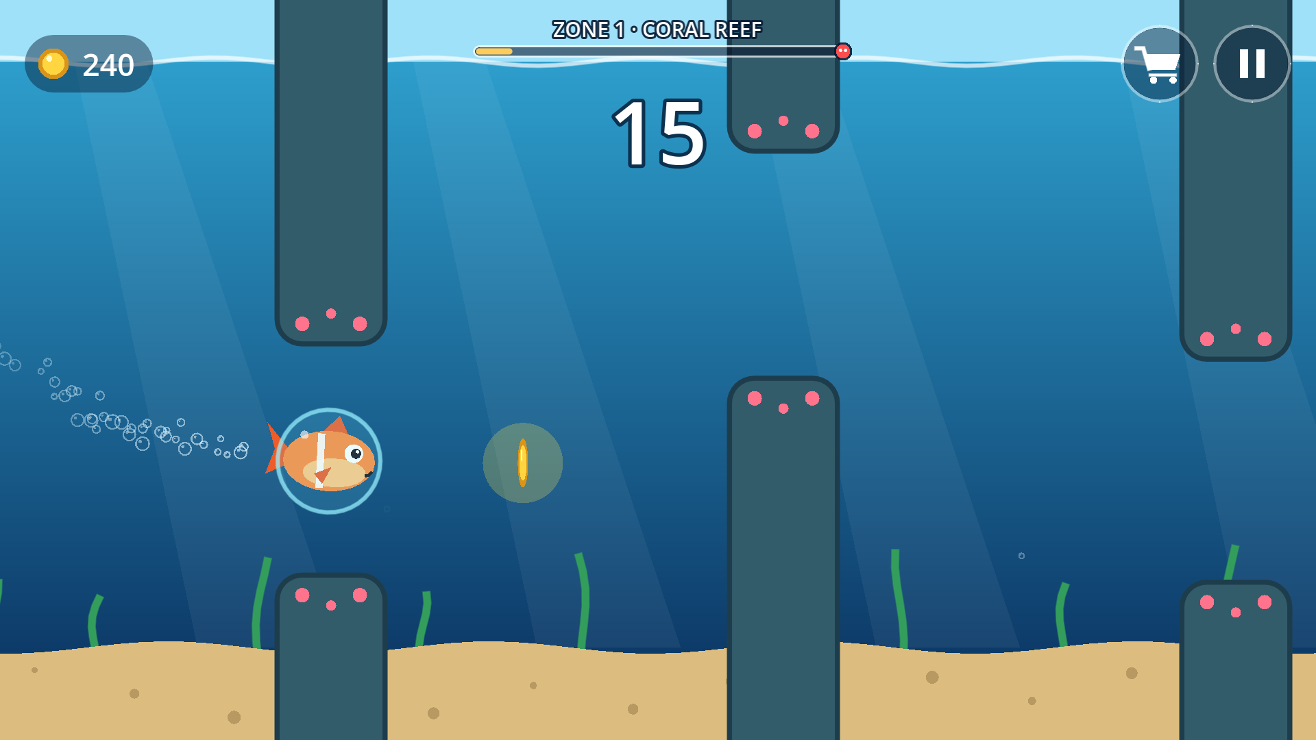 Coral reef zone